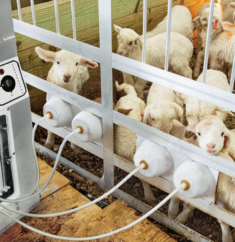 Milk Machine Lac Tek Nipple Tubing Sold By Foot 500 Ft In Roll