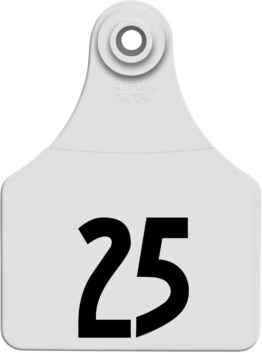 Allflex Lrg No. White