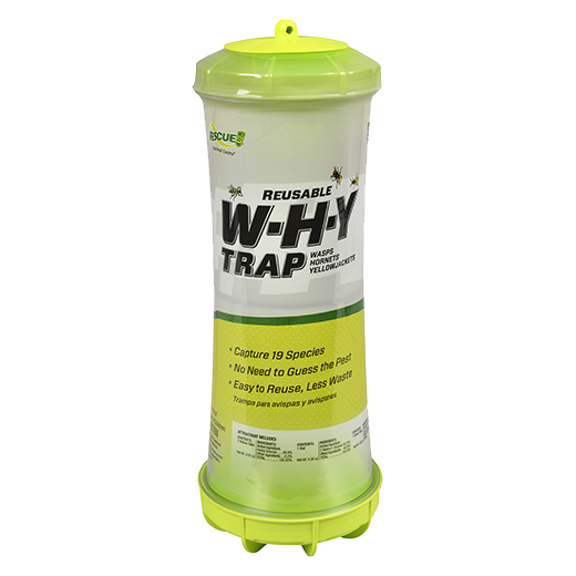 W H Y Trap W/ Attractant Reusable