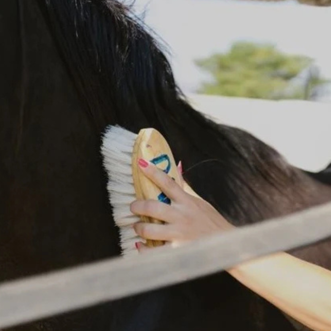 All Equine Grooming