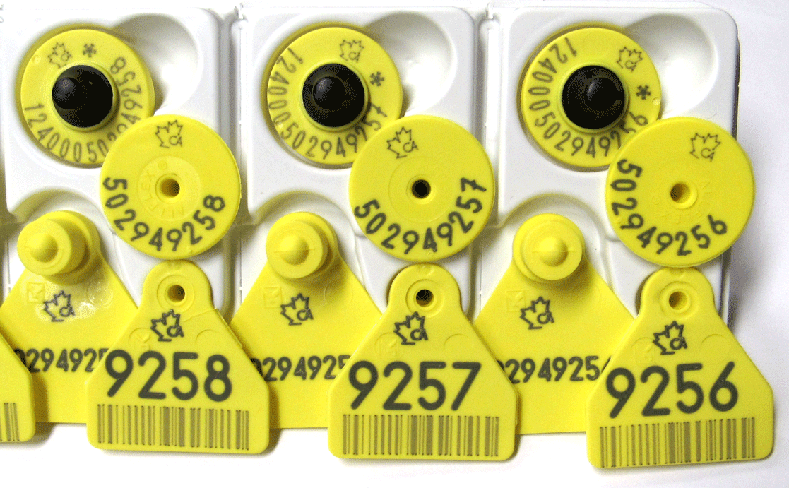 CSIP Tags