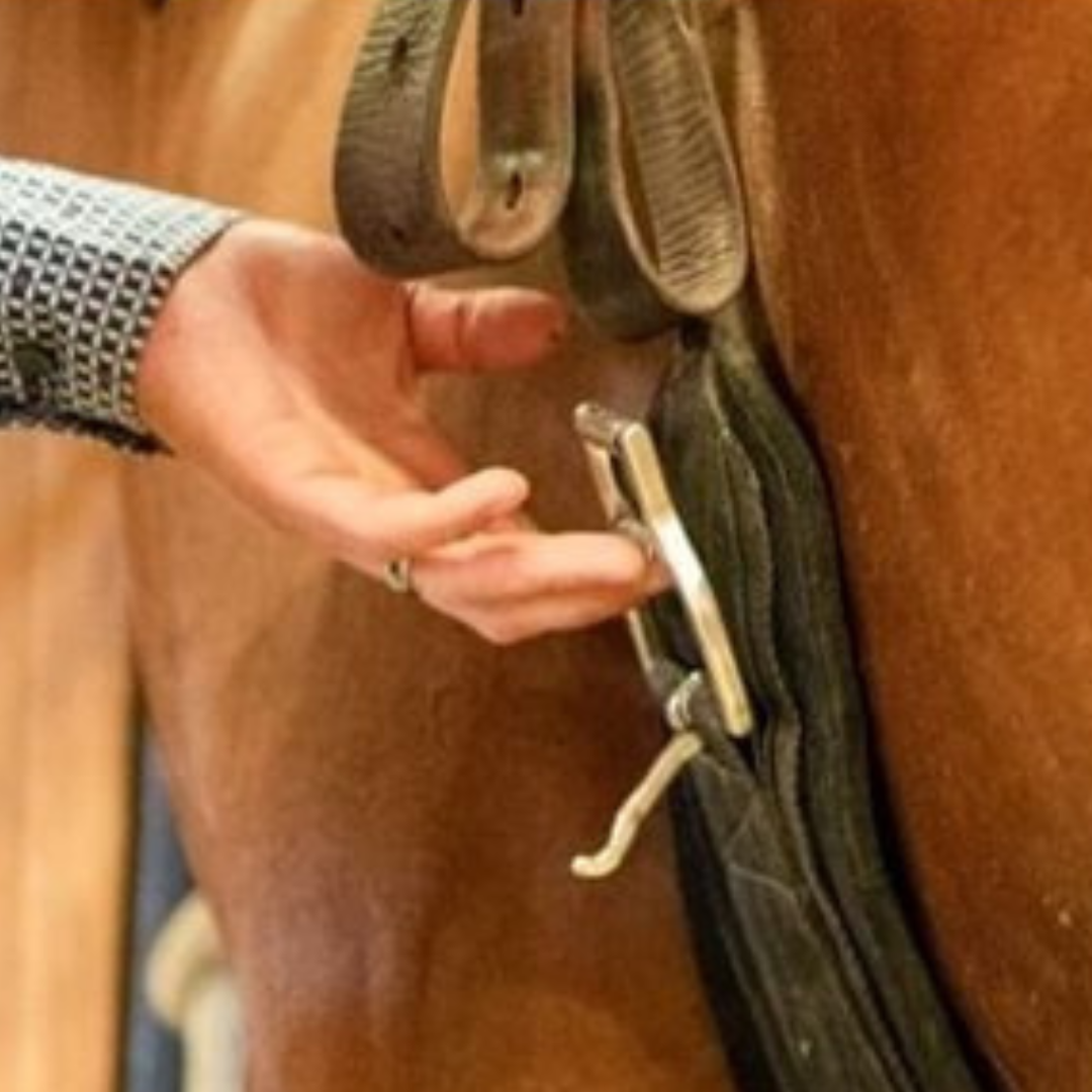 Cinch & Straps