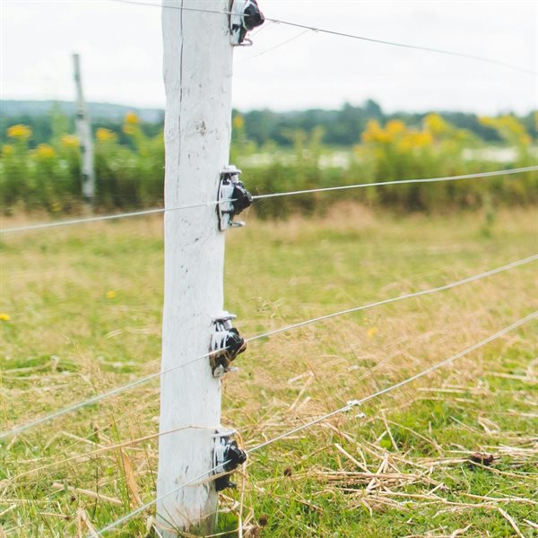 Insulators