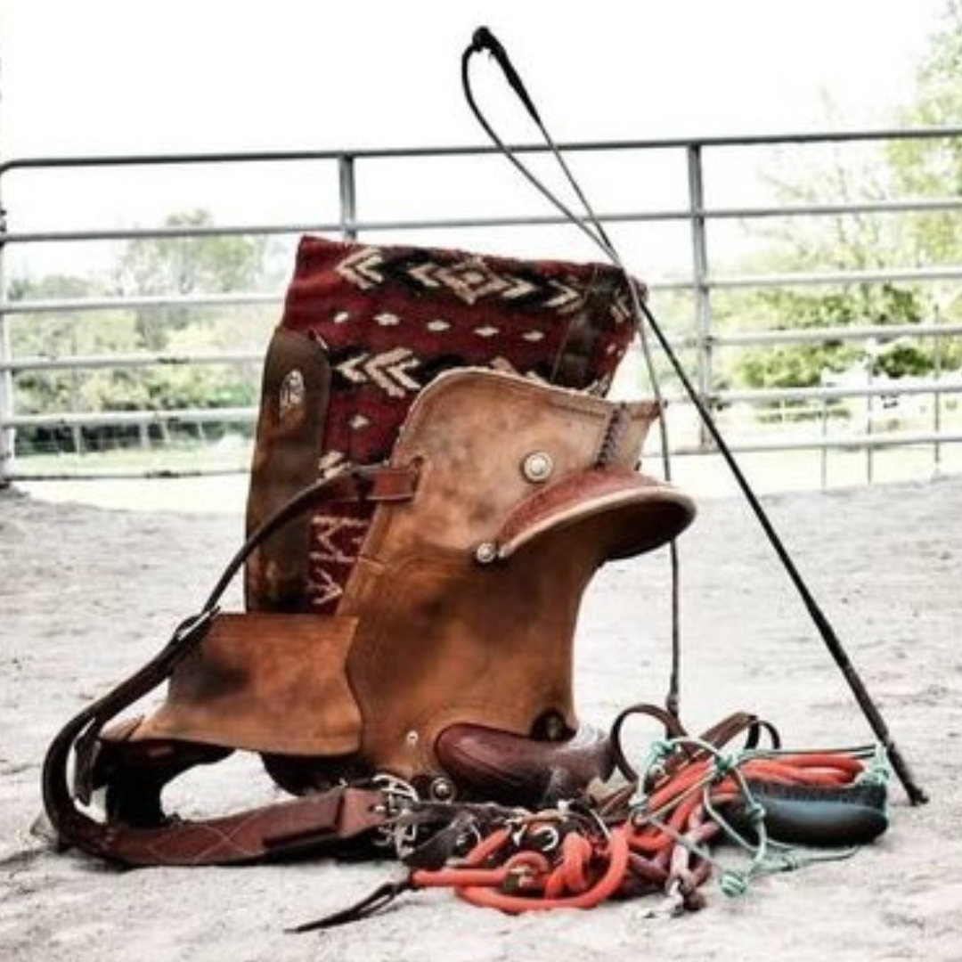 Equine Accessories