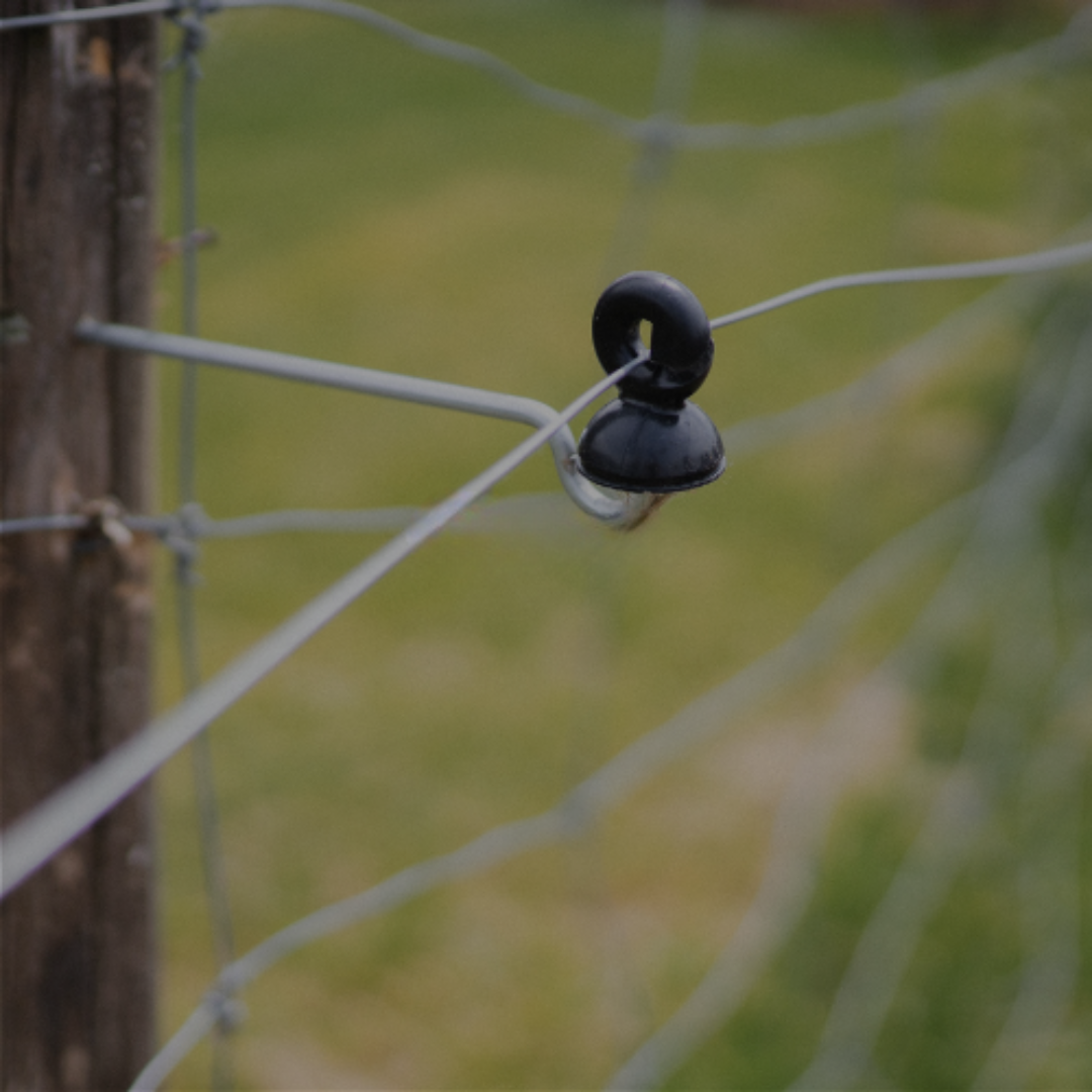 All Fencing Equipment