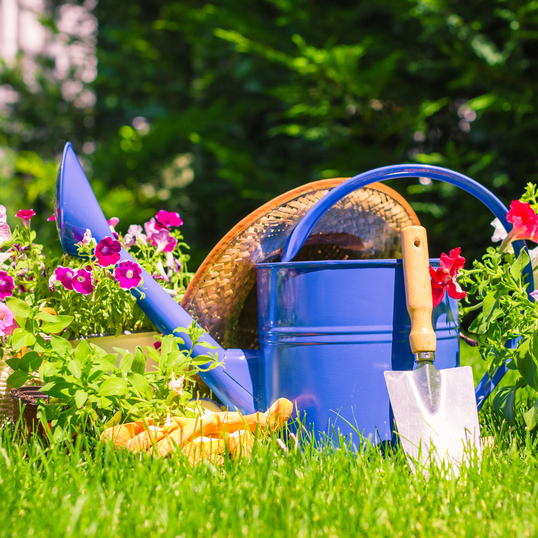 Gardening Books