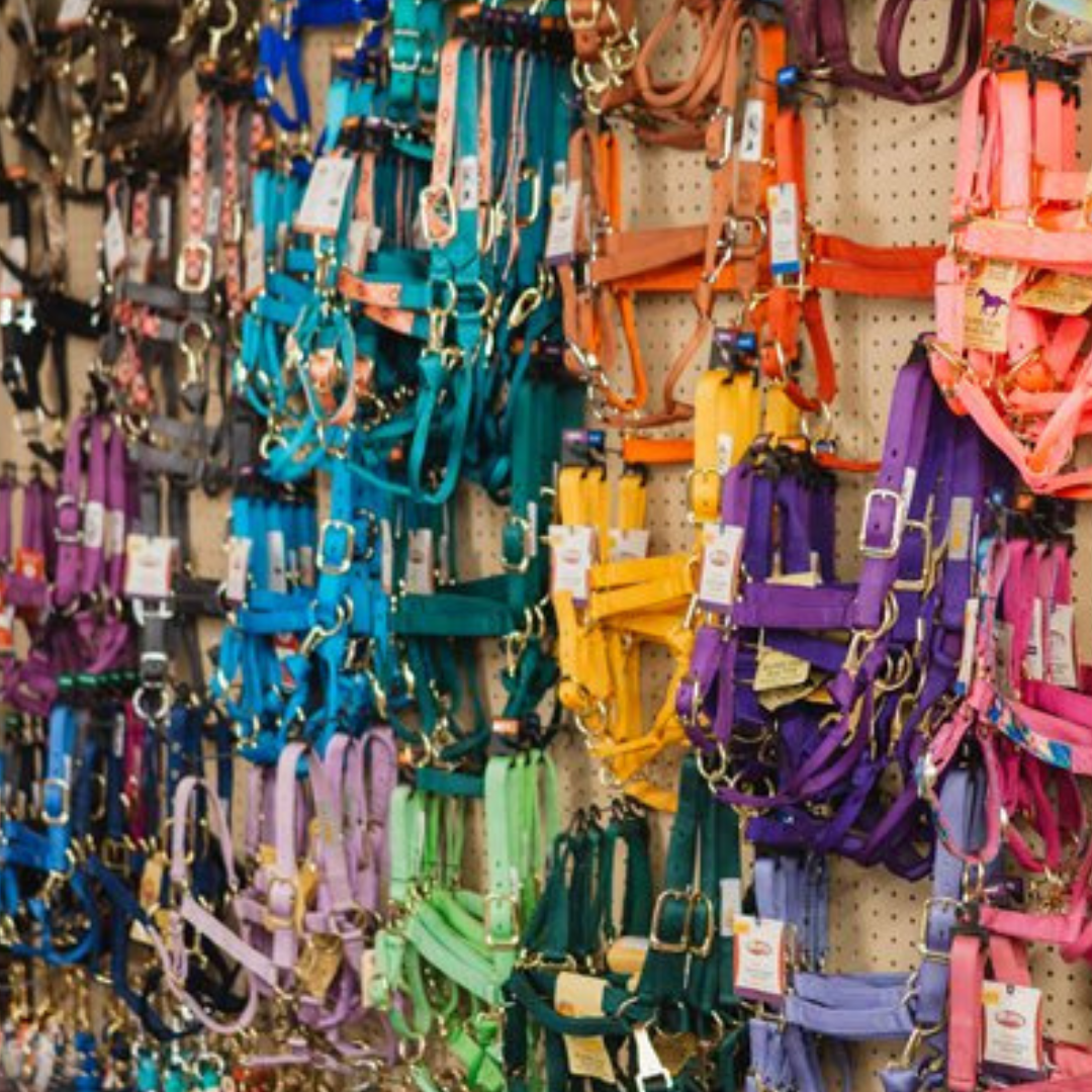 Equine Halters & Leads