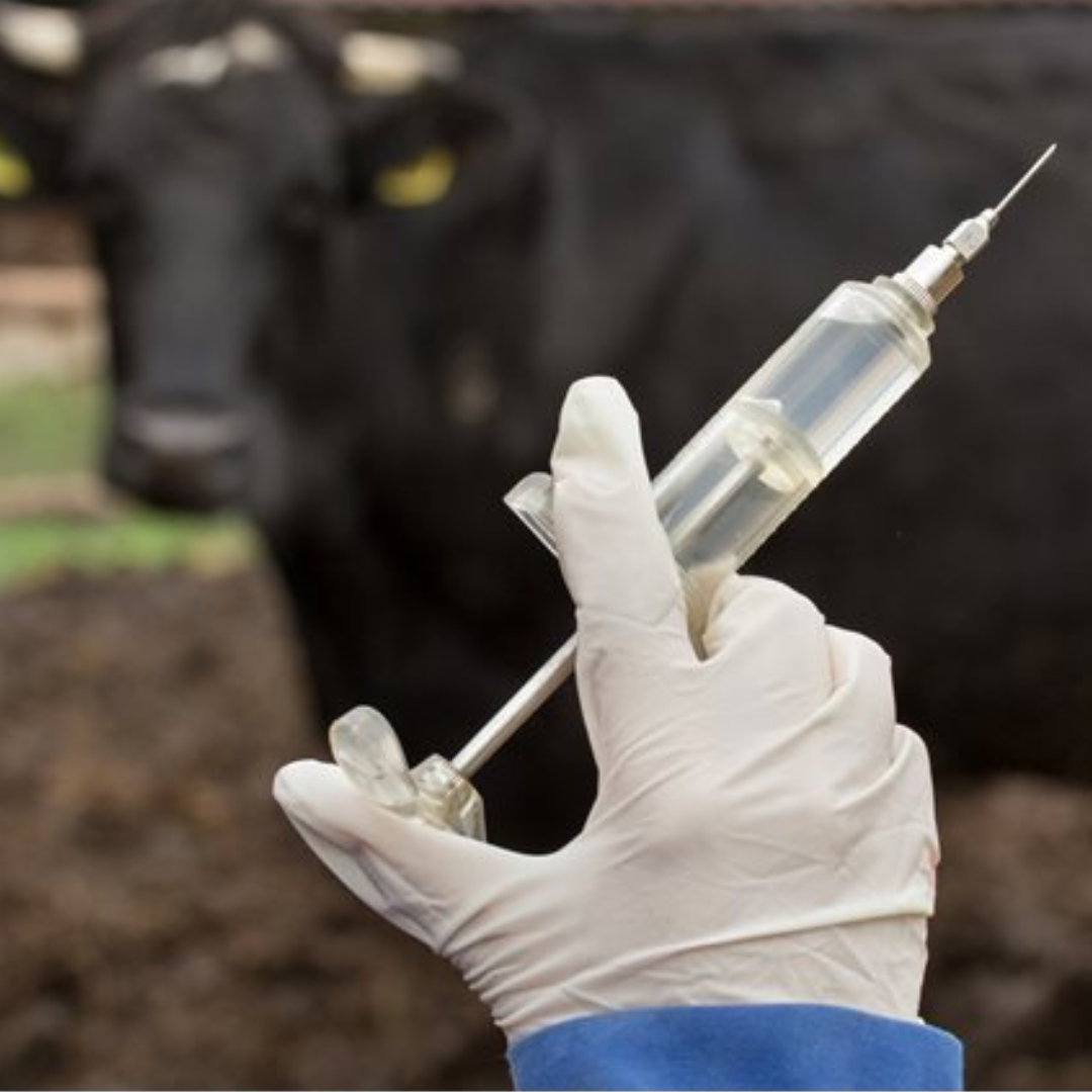 Syringes/ Gloves/ Needles