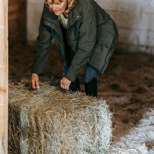 Equine Feeders