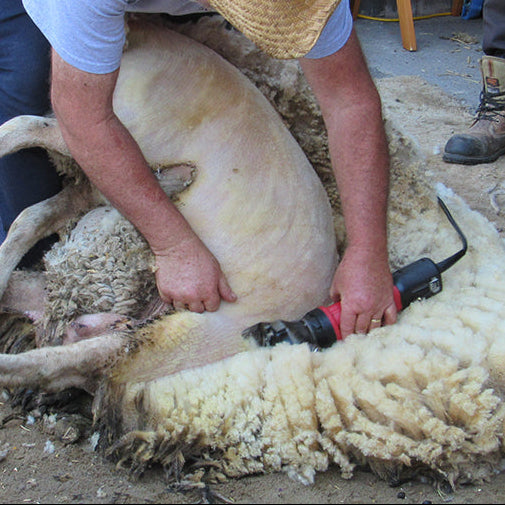 Shearing Accessories