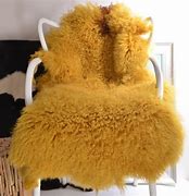 Regular Shearlings  Dyed Gold
