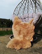 Regular Shearlings  Dyed Tan