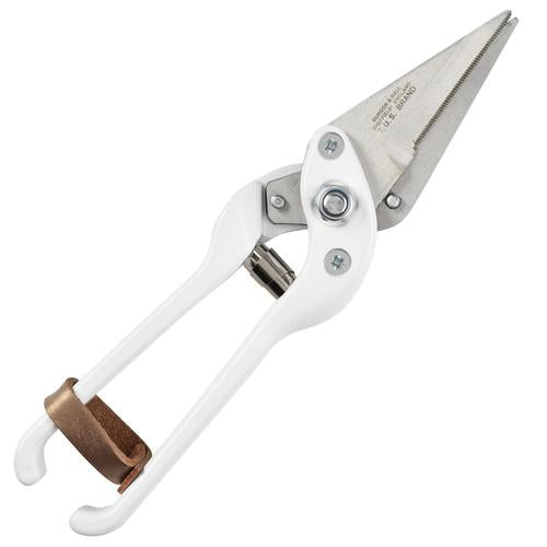 Foot Rot Shear  Plain* B&B White