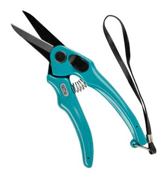 Foot Rot Shears Super Sharp B&B/Ss