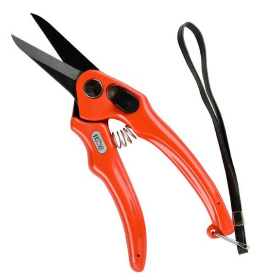 Footrot Shears Super Sharp Serrated