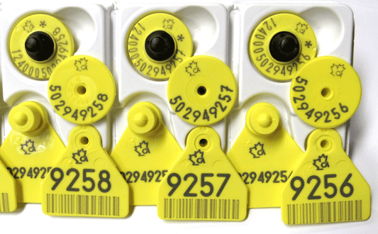 Allflex Combo SHEEP  Tag- Alberta (20/pack)