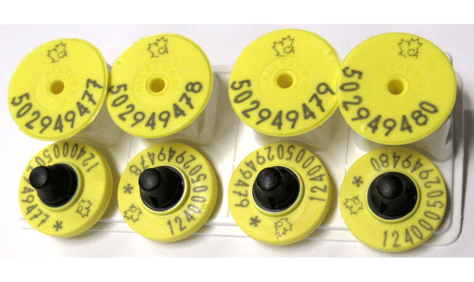 Allflex Button Tag  Alberta (20/Pack)