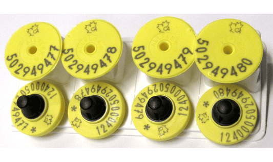 Allflex Button Tag  Alberta (20/Pack)