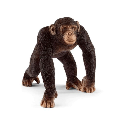 Schleich Wild Life: Chimpanzee, Male