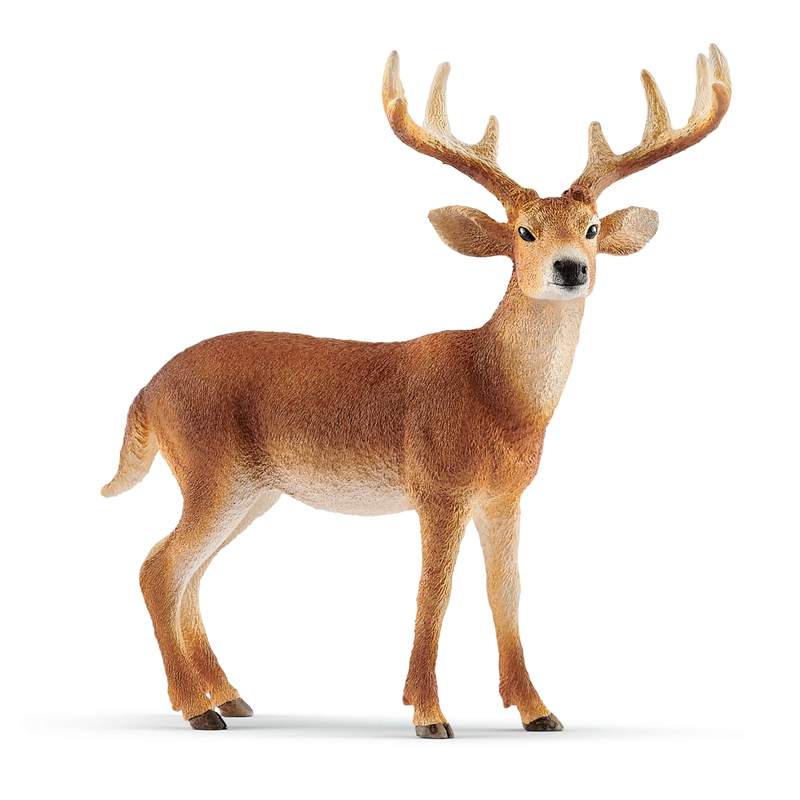 Schleich Wild Life: White Tailed Buck