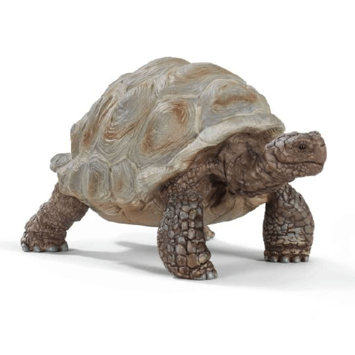 Schleich Wild Life: Giant Tortoise