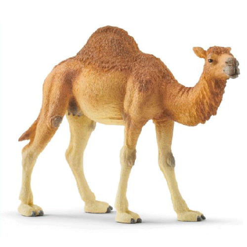 Schleich Wild Life: Dromedary