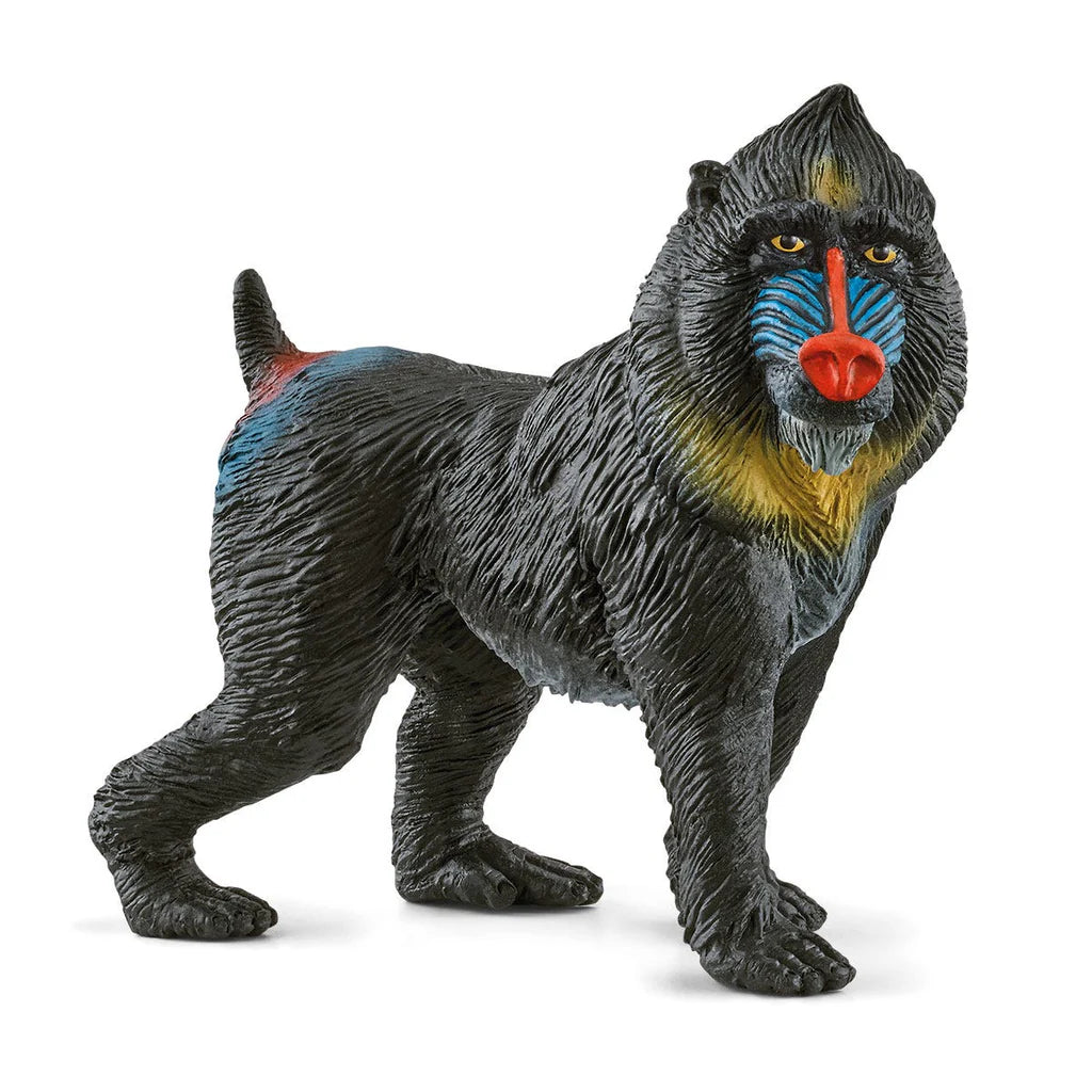 Schleich Wild Liffe: Mandrill