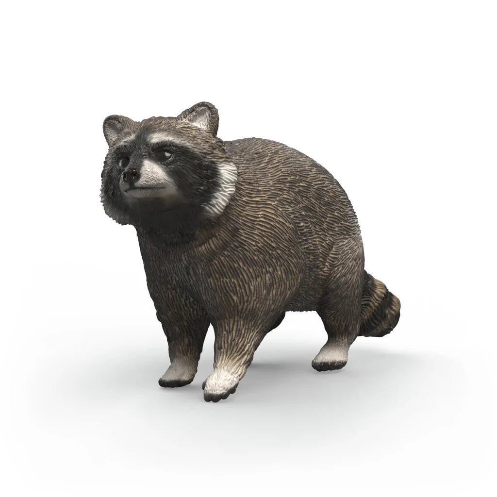 Schleich Wildlife: Raccoon