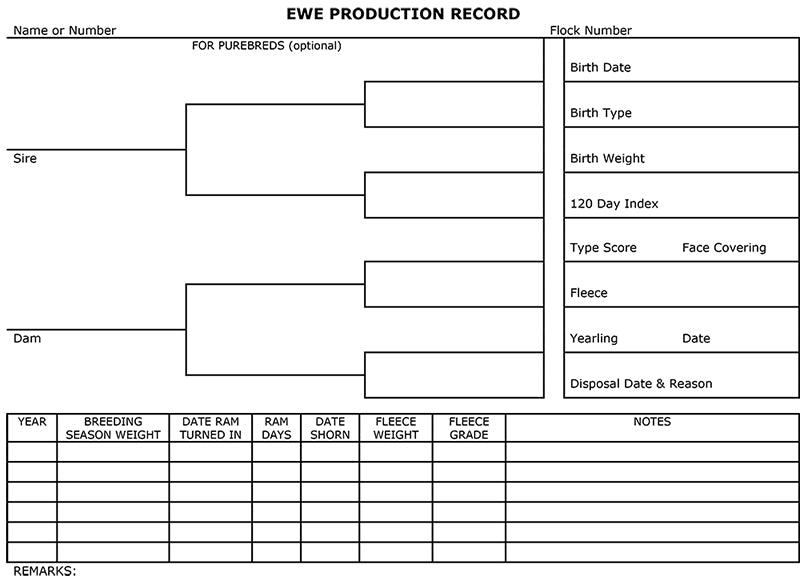 Ewe Production Cards