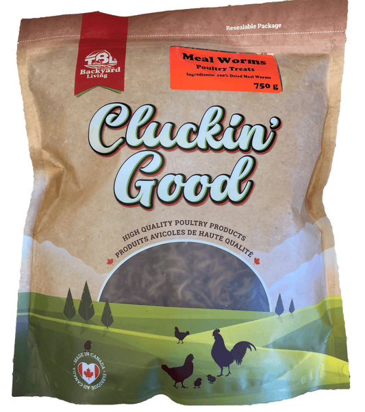 Meal Worms 750g For Poultry