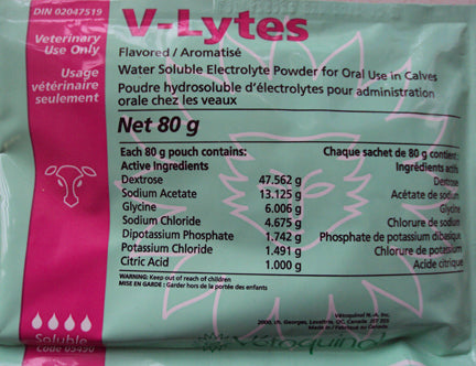 V Lytes 80 Gm Pouch