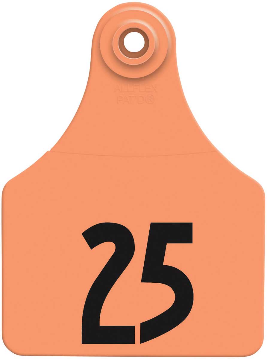 Allflex Lrg No. Orange