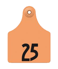 Allflex Maxi No. Orange