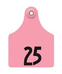 Allflex Maxi No. Pink