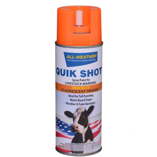 Quick Shot Spray Paint