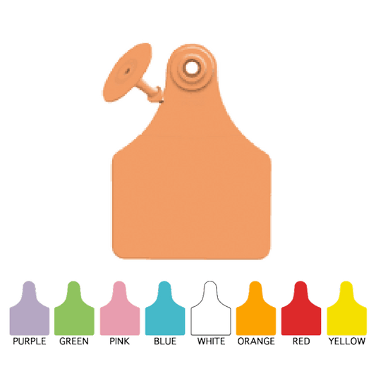Allflex Global Visual Ear Tag Large