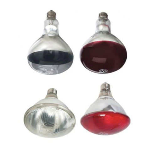 Heat Bulbs Kane 2Pack Red 250 Watt