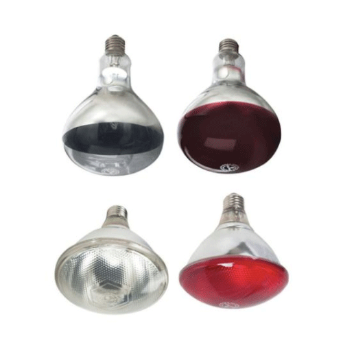 Heat Bulbs Kane 2 Pack Red 175 Watt