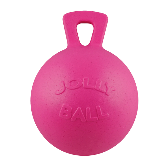 Jolly Ball 10 Inch