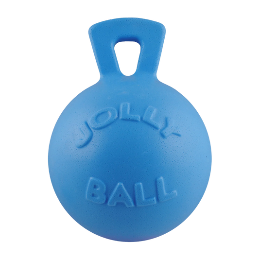Jolly Ball 10 Inch