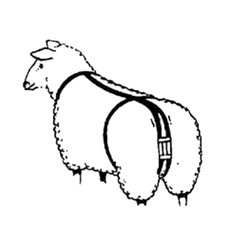 Prolapse Harness