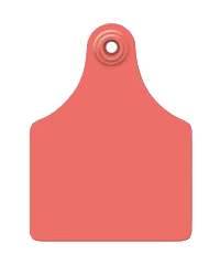 Allflex Maxi Blank 25/Bag