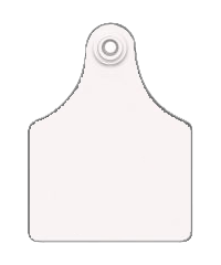 Allflex Maxi Blank 25/Bag