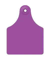 Allflex Maxi Blank 25/Bag