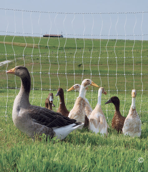 Net Fencing  Poultry Nets 12/48/3 164' Wht Ds (207015)
