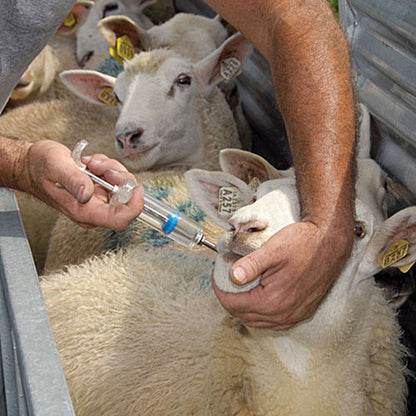 Drencher, Small Flock