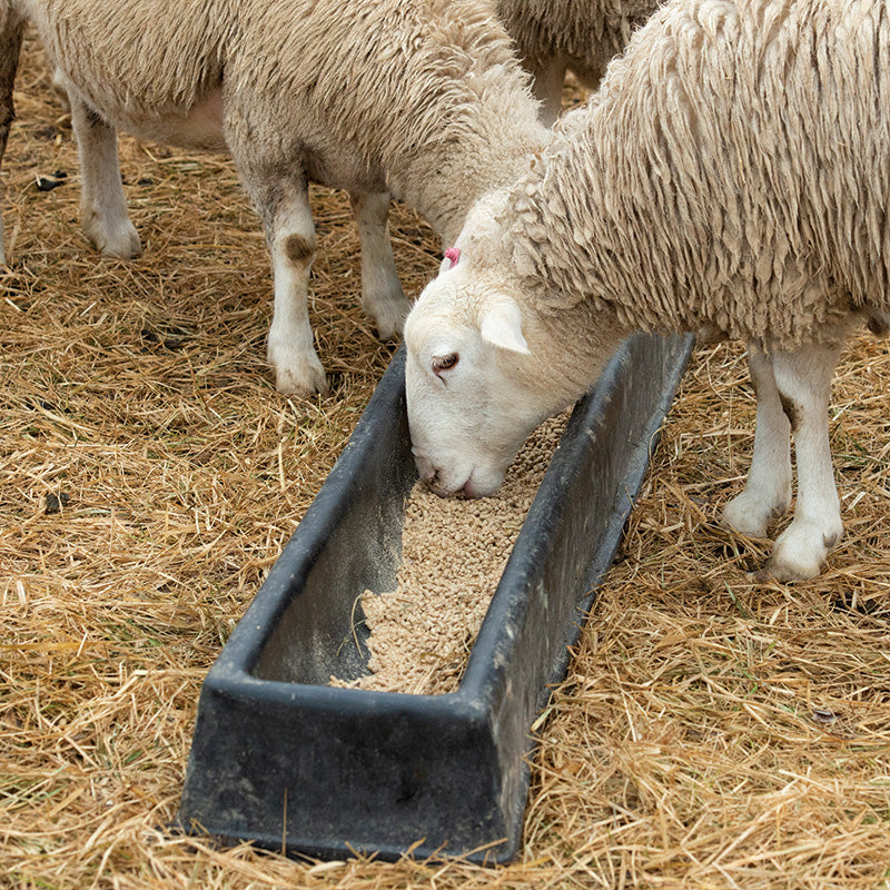 Feeder Porta Trough