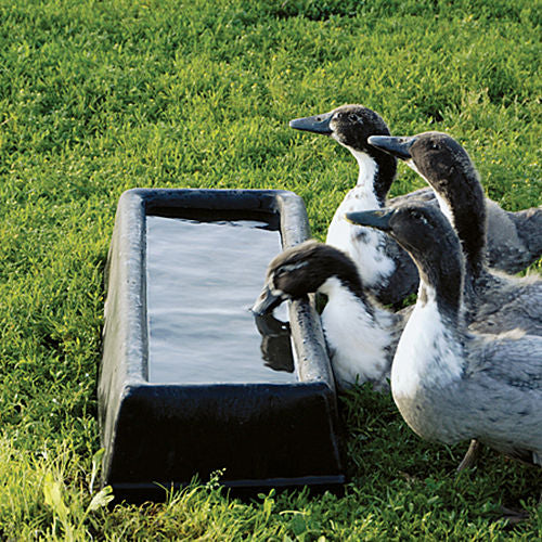 Feeder Porta Trough