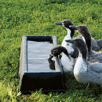 Feeder Porta Trough