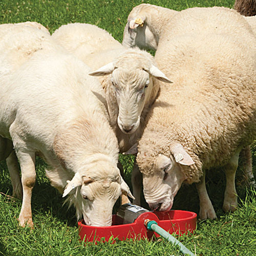 Waterer Kane Portable, 2 Sided Red